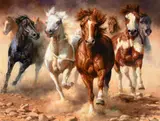 Bonnie Marris, The Power of Freedom, oil on canvas
