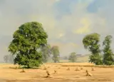 David Shepherd, Harvest Field, oil on canvas