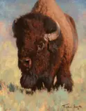 Tucker Smith, Old Bull, 2014, oil on canvas