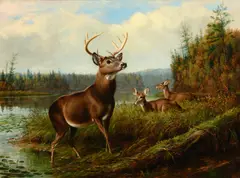 On the Alert by Arthur Fitzwilliam Tait, 1885, oil on canvas, sold Jul 2024