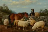 Arthur Fitzwilliam Tait, Expectation, 1899, oil on canvas