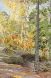 Gunnar Widforss, Forest Landscape, watercolor on paper