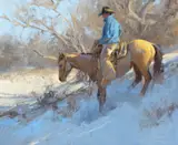 Bill Anton, A Slippery Slope
