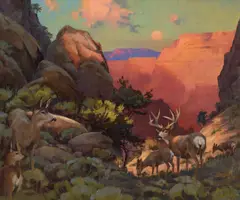 Kenn Backhaus, Last Light in Canyon Passage – Southwest Mule Deer, oil on canvas laid on board