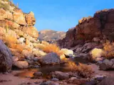 Mark Boedges, Warming Light, 2023, oil on board