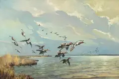 George Browne, Canvasbacks on the Nanticoke River, 1950, oil on canvas