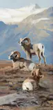 Ken Carlson, High Country Royalty