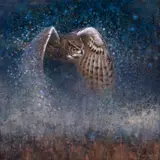 Ewoud de Groot, Twilight Owl, 2015, oil on canvas