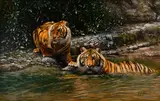 Terry Frost, Bengal Tigers at a Waterhole, oil on canvas