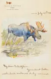 Philip Russell Goodwin, Illustrated Letter to Charles Schatzlein