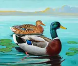 Lynn Bogue Hunt, Pair of Mallards, 1951, oil on canvas