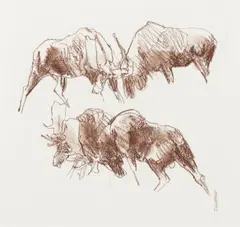 Bob Kuhn, Moose Battle, conté crayon on paper