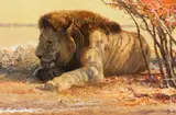 Bob Kuhn, Nomad, acrylic on board