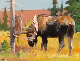 Bob Kuhn, Velvet Removal