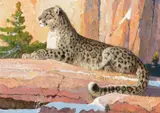 Bob Kuhn, Snow Leopard