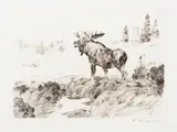 Carl Rungius, Morning Mist, etching on paper