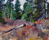 Carl Rungius, Forest Landscape, oil on canvas laid on board
