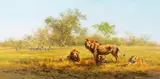 David Shepherd, Evening in the Luangwa, 1977, oil on canvas