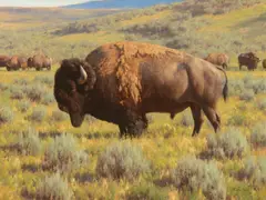 Tucker Smith, Plains Monarch, 1999, oil on canvas