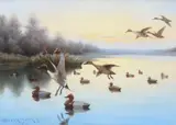 Frank Stick, Duck Blind