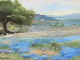 Robert Wood, Bluebonnet Time