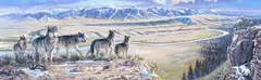 Larry Zabel, Wolf Lookout, oil on canvas