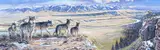 Larry Zabel, Wolf Lookout, oil on canvas