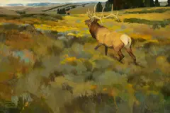 Douglas Allen, Gros Ventre Elk, oil on canvas