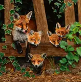 Steve Burgess, Family Outing