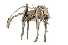 Deborah Butterfield, Berlin, 1990, bronze