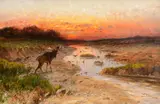 John Fery, Moose at Sunset