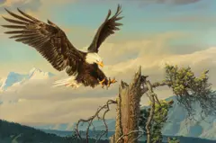Nancy Glazier, Power Landing – Bald Eagle, oil on canvas