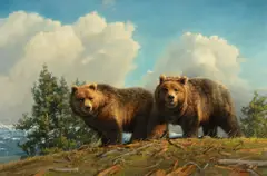 Nancy Glazier, Spring Break – Grizzlies, oil on canvas