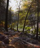 Francois Koch, Forest Trail, 2010, oil on canvas