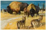 Bob Kuhn, Buffalo and Wolves, mixed media on paper