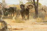 Elephants by Bob Kuhn, acrylic on board, sold Jul 2022