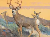In the Gloaming by Bob Kuhn, acrylic on board, sold Jul 2022