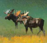 Bob Kuhn, Moose on Green