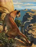 Bob Kuhn, Out on a Ledge