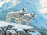 Bonnie Marris, Top of the World, oil on canvas