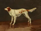 Frederic Remington, Louis Brown’s English Setter, oil on canvasboard