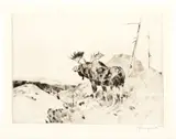 Carl Rungius, The Answer from the Barren, etching on paper
