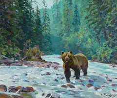 Carl Rungius, Bear in a Stream, oil on canvas