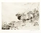 Carl Rungius, The Challenge, etching on paper