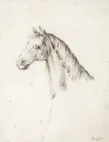 Carl Rungius, Horse, No. 1, pencil on paper