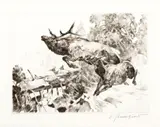 Carl Rungius, Stampede, etching on paper
