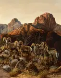 Gary Swanson, Kofa Dawn