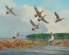 Bald Pate – Widgeon by Richard Evett Bishop, 1948, oil on canvas, sold Jul 2021