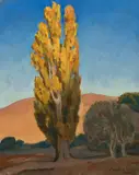 Maynard Dixon, Shifting Light on a Poplar
