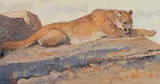 Bob Kuhn, Hanging Out